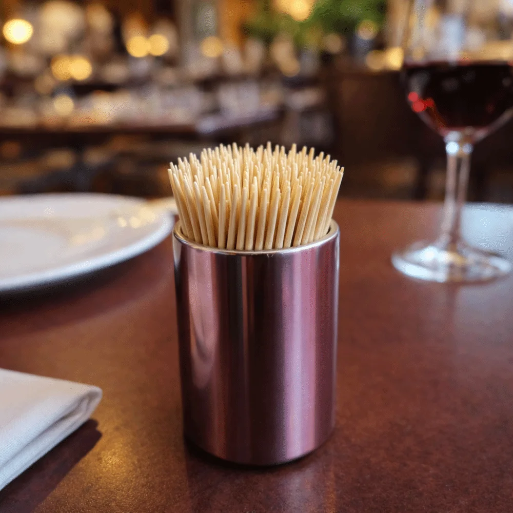 Stainless Steel Fruit Fork Holder Cylinder Durable Toothpick Container Multi-functional Toothpick Box Gift Idea