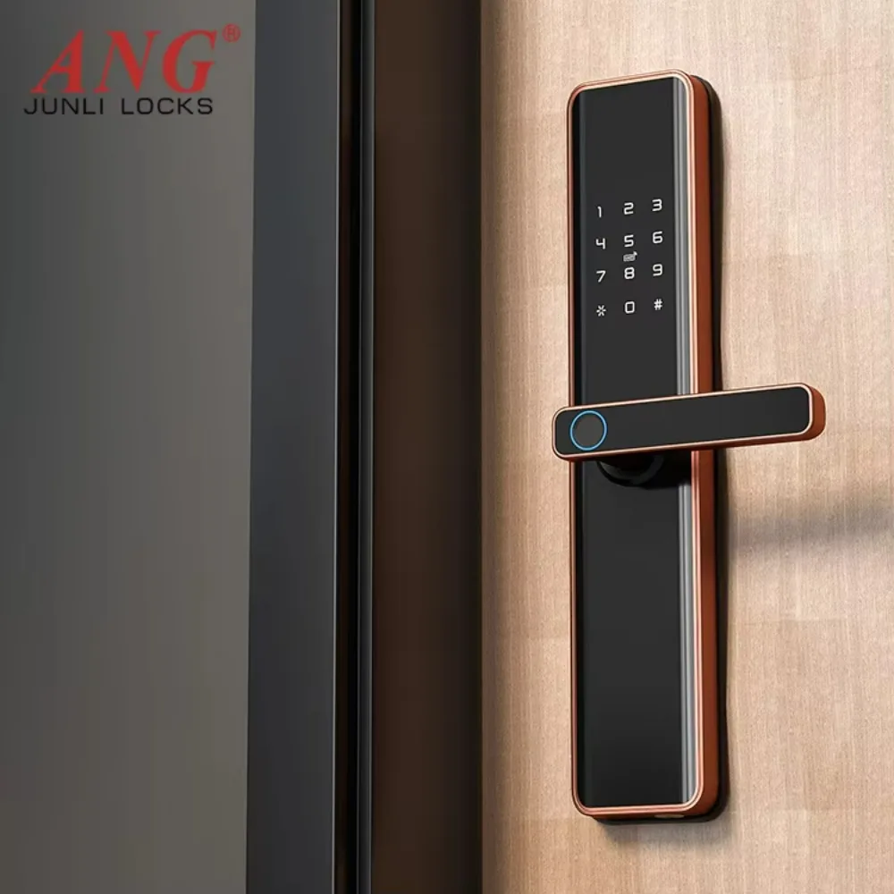 Security Biometric Electronic Lock Ttlock Smart Door Lock with Card Pass for Hotel