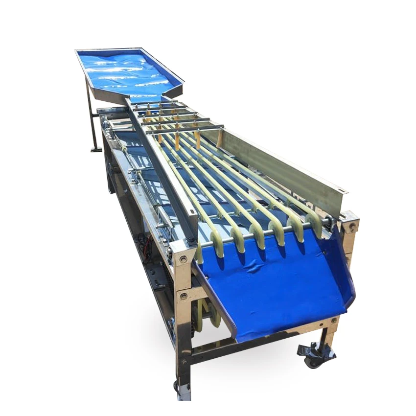 

Multifunctional Tomato Sorter Machine - Automatic Fruit and Vegetable Weight Sorting Equipment for Agriculture