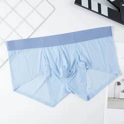 Men's Sexy Ice Silk Sheer Briefs Underwear Trunks Shorts Bulge Pouch Underpants Breathable Athletic Underwears Knickers