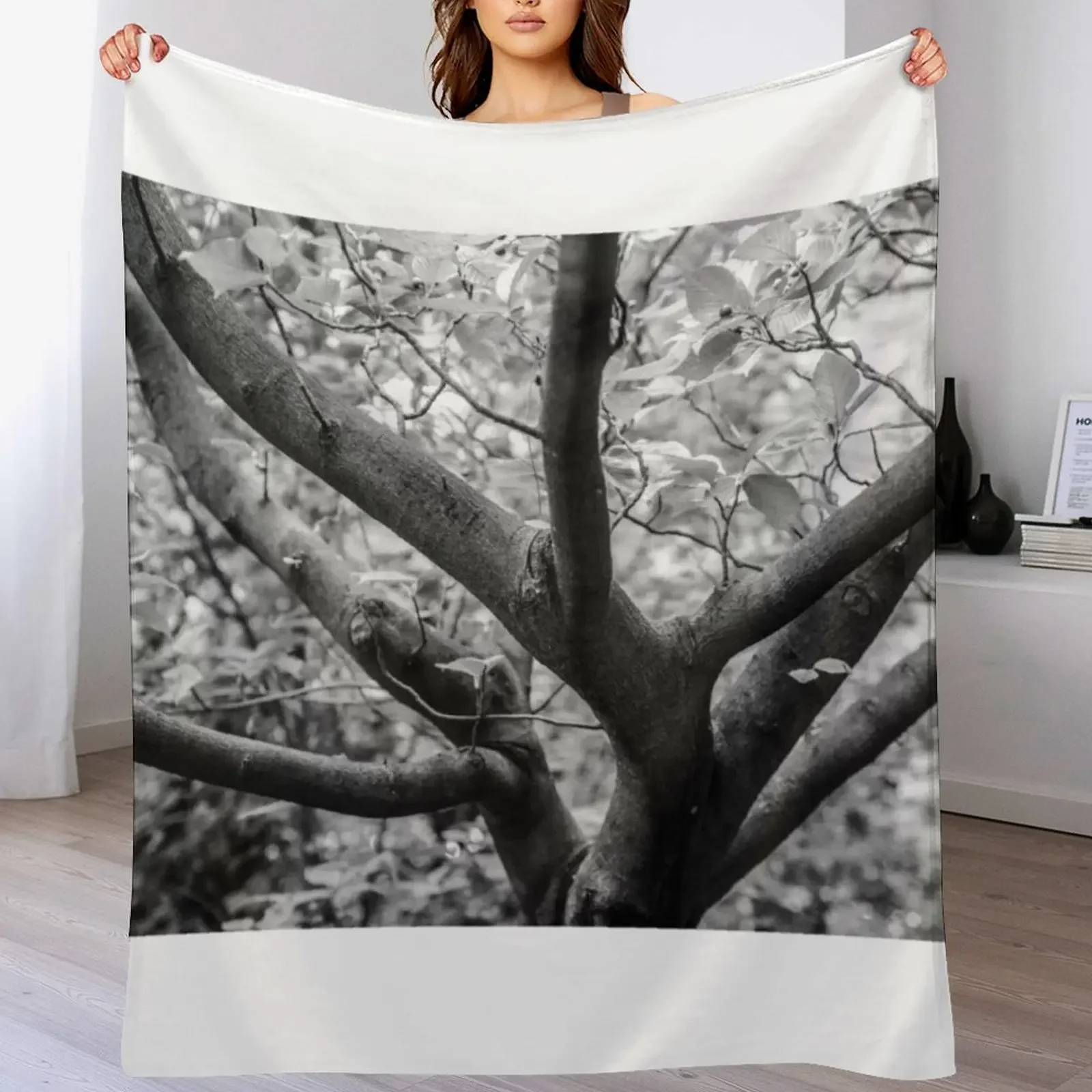 A forest Throw Blanket Year Round Soft Comfortable Blanket for Home