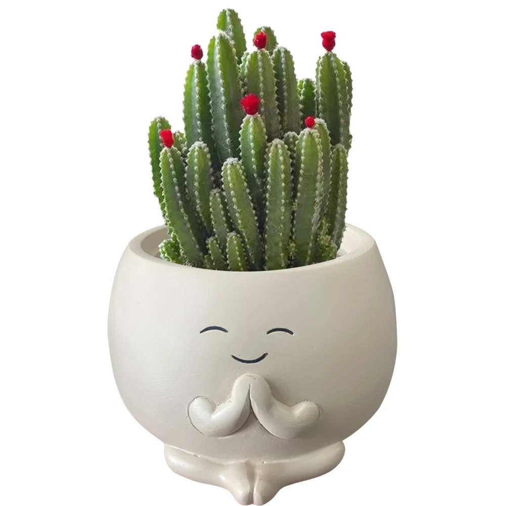 

Small Cactus Planter with Drainage Hole Smile Face Flower Container Resin Cute Plant Succulent Pot for Home Room Decor