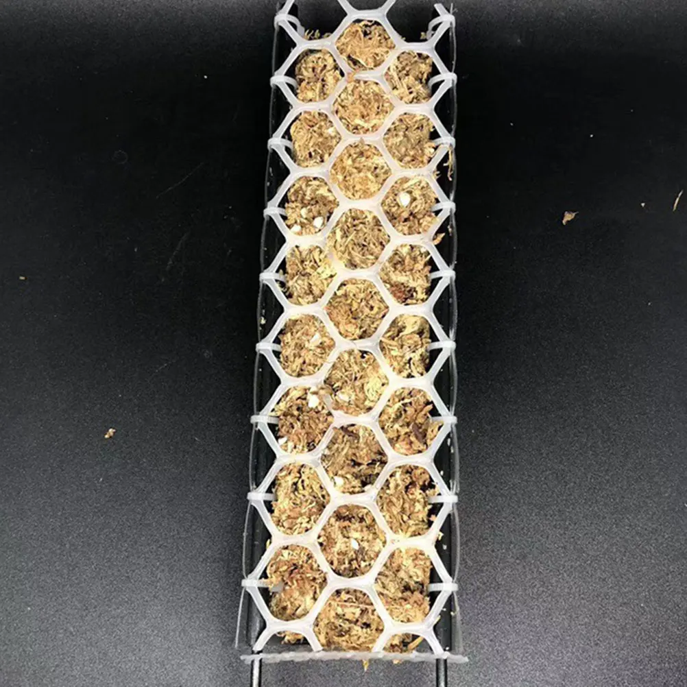 

1 set Moss Poles Mesh Kit Plastic Plant Climbing Net Garden Protection Nets White Greenhouse Hoops Diy Tunnel Reusable Strong