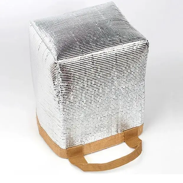 Paper Lunch Bag Waterproof Insulation Bag Lengthen and Thicken Aluminum Foil Japanese Handbag Office Worker Student