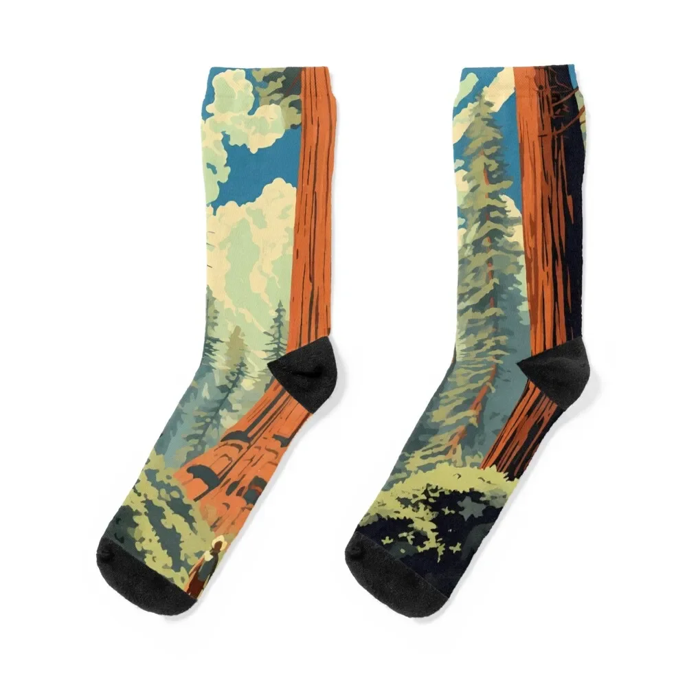 Sequoia National Park Illustration Retro Socks loose hip hop Argentina gym Ladies Socks Men's