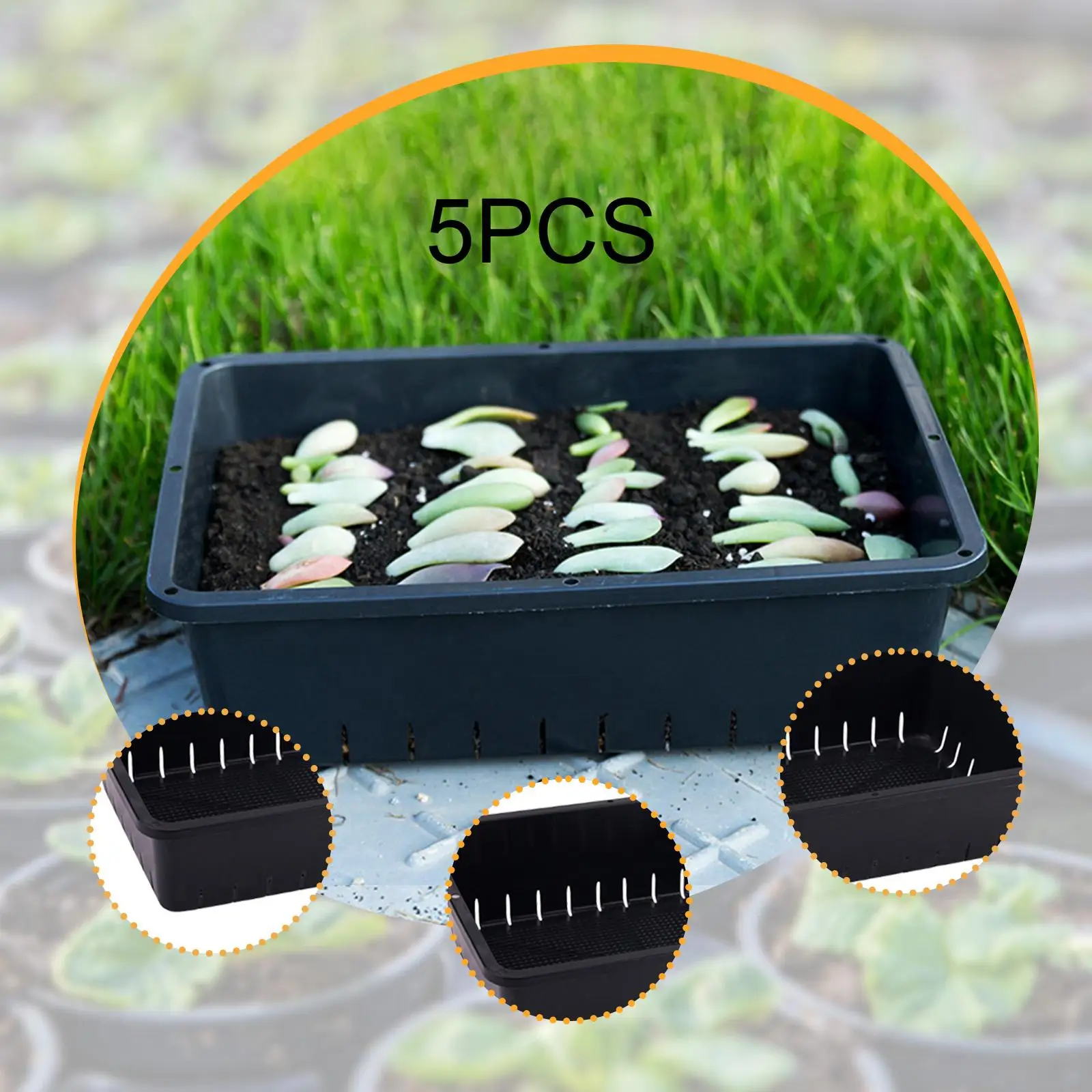 

5x Seed Starter Trays Germination Trays Seedling Growing Kit for Indoor
