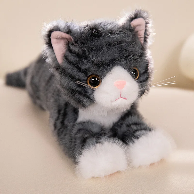 

Children's Plush Toys Cute Gray Cats Kindergarten Graduation Gift Soft Comfort Companionship Shooting Props