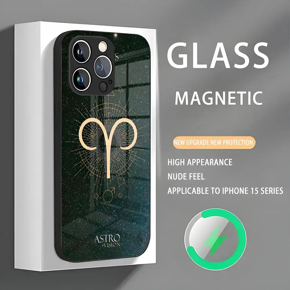 Aries Amulet Phone Case Iphone 16 Pro Max Case 15 14 13 12 11 X XR XS XSMAX 8 Plus Mini Pro Max Glass Magnetic Phone Case