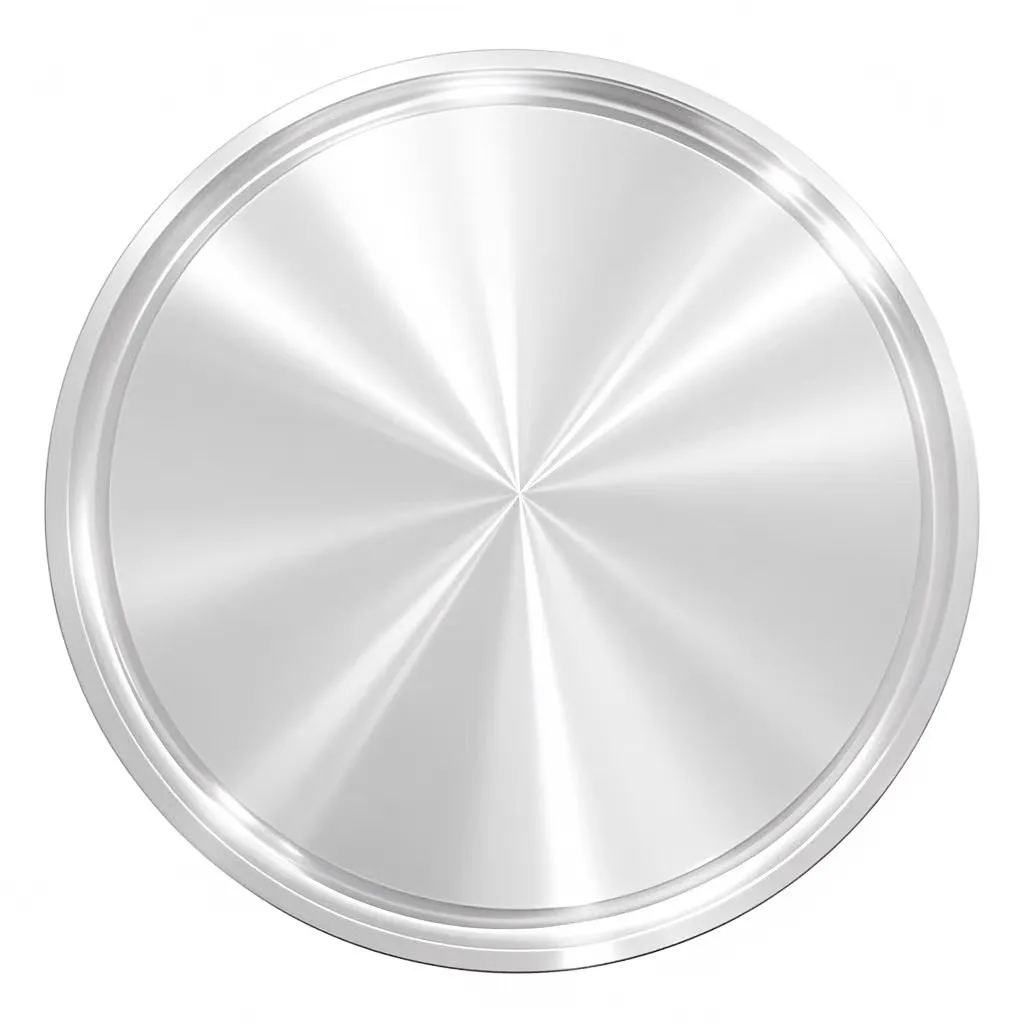 

10-дюймовая глухая крышка с тройным зажимом, наконечник 233, сантехническая нержавеющая сталь 304, концевая крышка, фитинг для труб