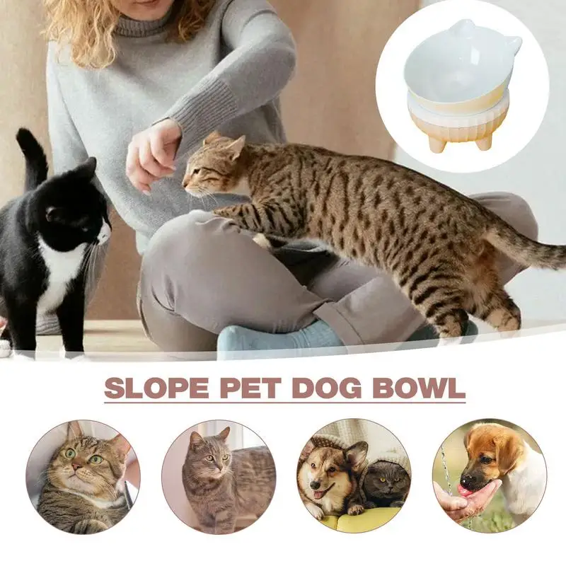 Elevated Tilted Cat Bowls Slanted Raised Pet Food Bowls Tilted Dog Dish Pet Dishes Water Bowl Spill-Proof Household Cat Feeding