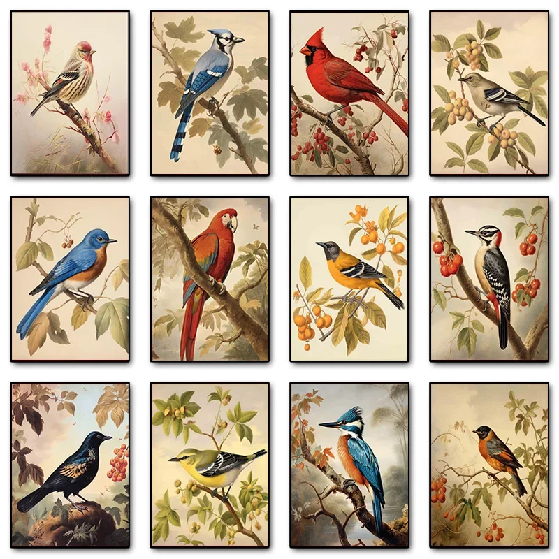 Animal Retro Blue Jay Cardinal Chickadee Falcon Starling Bird Poster Print Wall Art Pictures Canvas Painting Room Home Decor