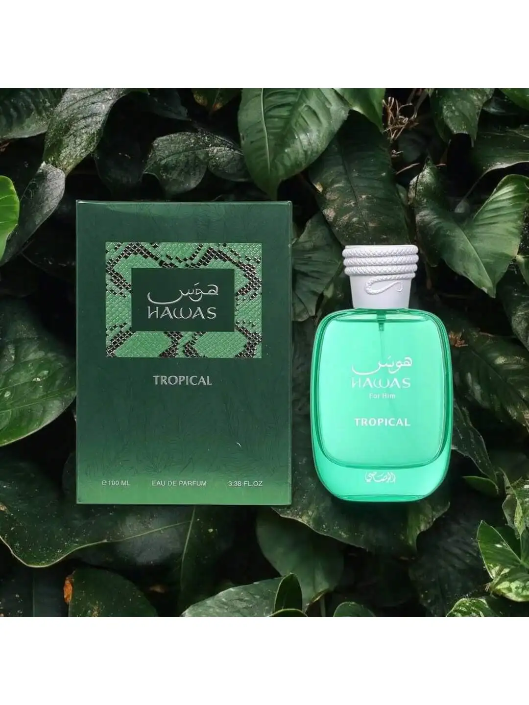 رسااسي هاواس الاستوائية أو دو برفوم - رائحة استوائية طازجة، تدوم طويلاً لملابس الصيف