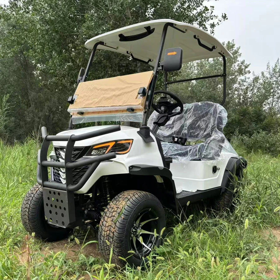 

2026 Новый дизайн, обновленный 2-местный гольф-кар, 10000/15000 Вт, 48 В/60 В/72 В, 4WD, электрические тележки для гольфа