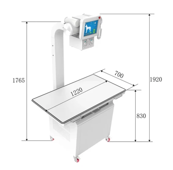 Veterinary X Ray X Ray Machine for Dog Cat Animal Use with Flat Panel
