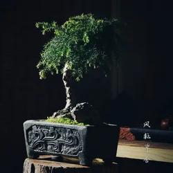 Chiński rzeźbiony garnek do bonsai, klasyczny stół, dekoracja ogrodu domowego, tradycja