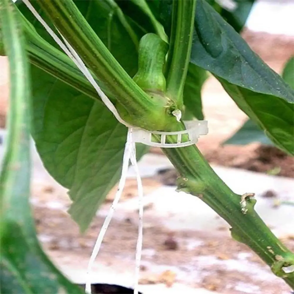 Support Stakes 50/100pcs Plant Support Clips High Strength Reusable Vine Fixing Clips Quick Opening Tomato Plant Holders