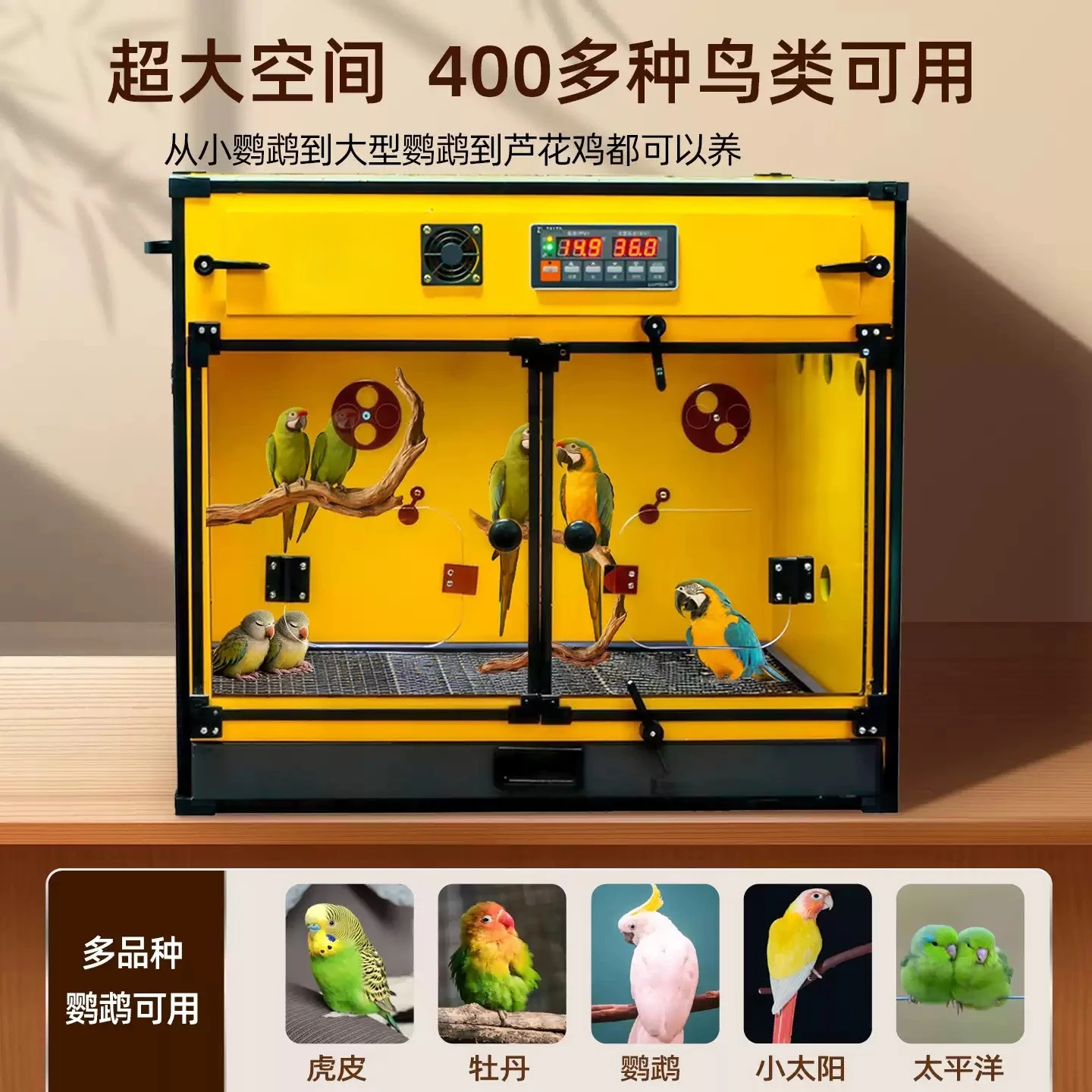 Parrot incubator special electric heating constant temperature pet young bird brooding intelligent winter cage