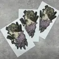 3pc 1 set D