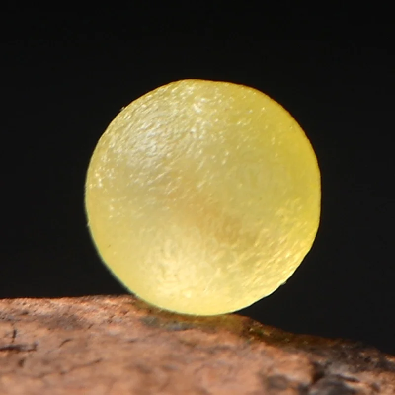 5A Natural Yellow Agate Frosted Genuine Crystal Quartz Single Bead Handmade DIY