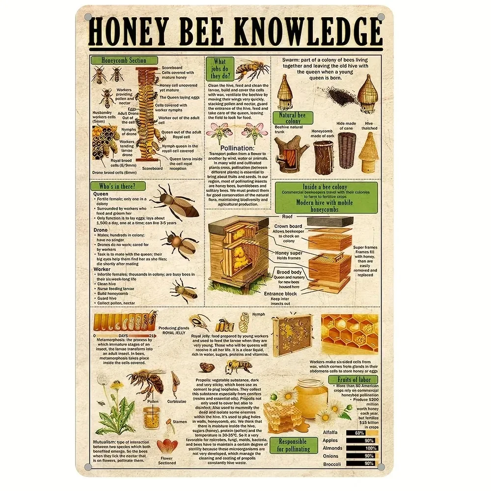 

BEEKNOWWITEDGE "Bee Knowledge Sign" | Decor for Homes, Restaurants, Eco-Lovers & Wit Gifts