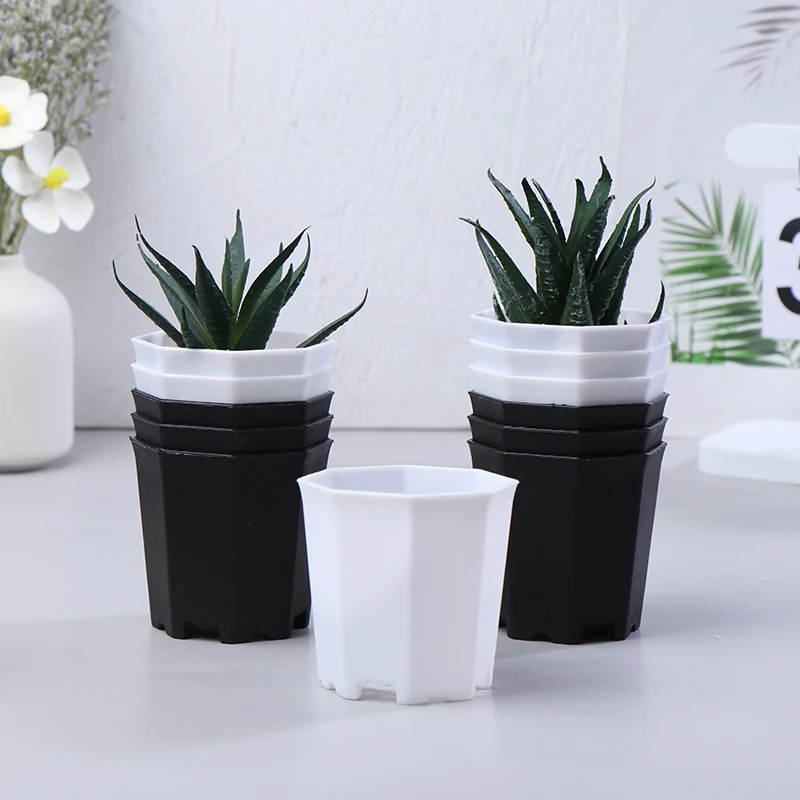 10Pcs Simple Octagonal Flowerpot Black White Plastic Solid Small Seedling Pot Desktop Succulent Breathable Pot Decoration