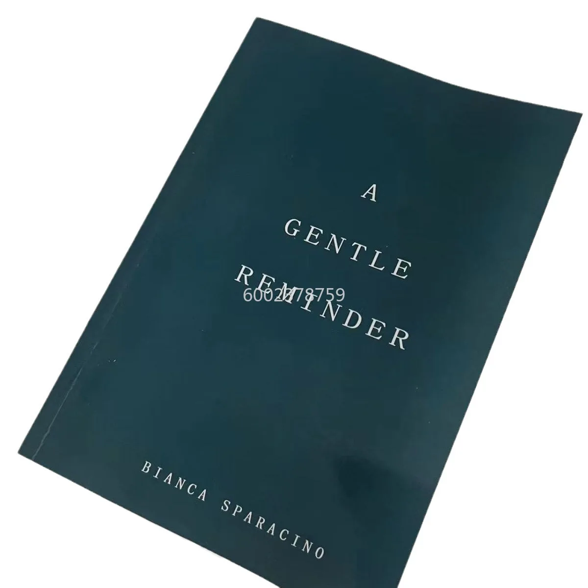 A Gentle Reminder English Paper Book in Stock