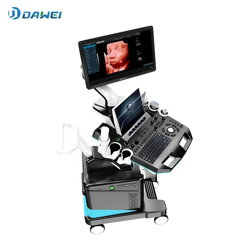 Gynaecology and Obstetrics color ultrasound with ecdovaginal probe and convex probe video printer