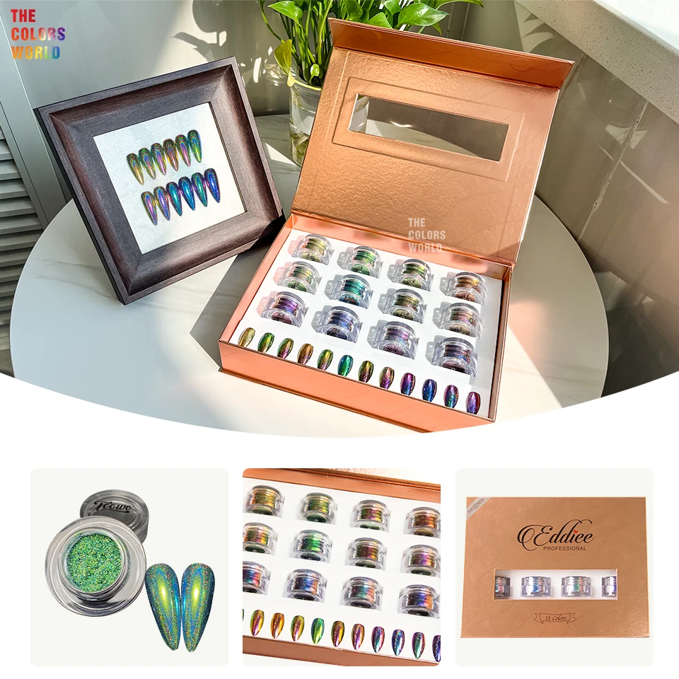 TCT-981 12 Kleuren Holografische Chrome Kameleon Nagelpoeder Set voor Nail Art Salon Manicure DIY Chrome Nail Tips Effect Pigment
