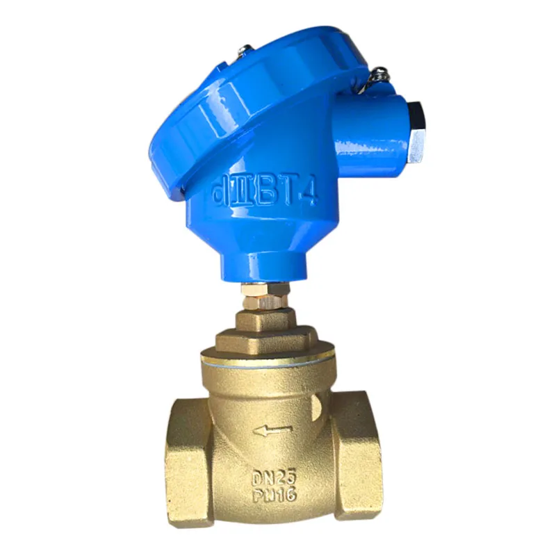Explosion-proof Check Valve Baffle Type Normally Open Flow Signal Water Flow Induction Switch