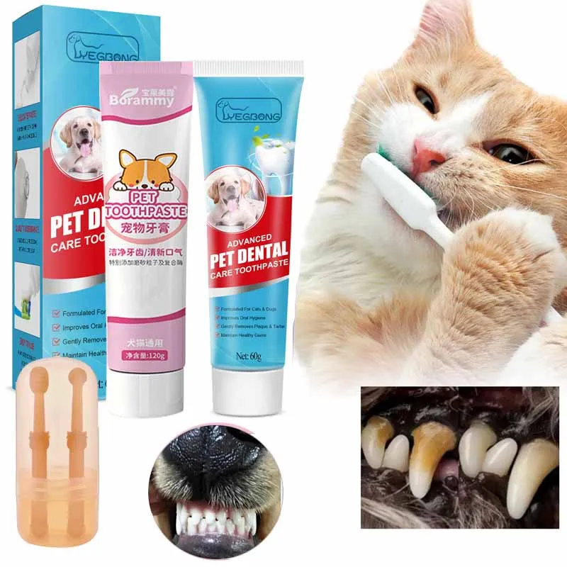 Cats Dogs Toothpaste Pet Cleaning Products Pet Oral Gum Care Cleaning Toothpaste Prevent Teeth Calculus Cats Edible Toothpaste