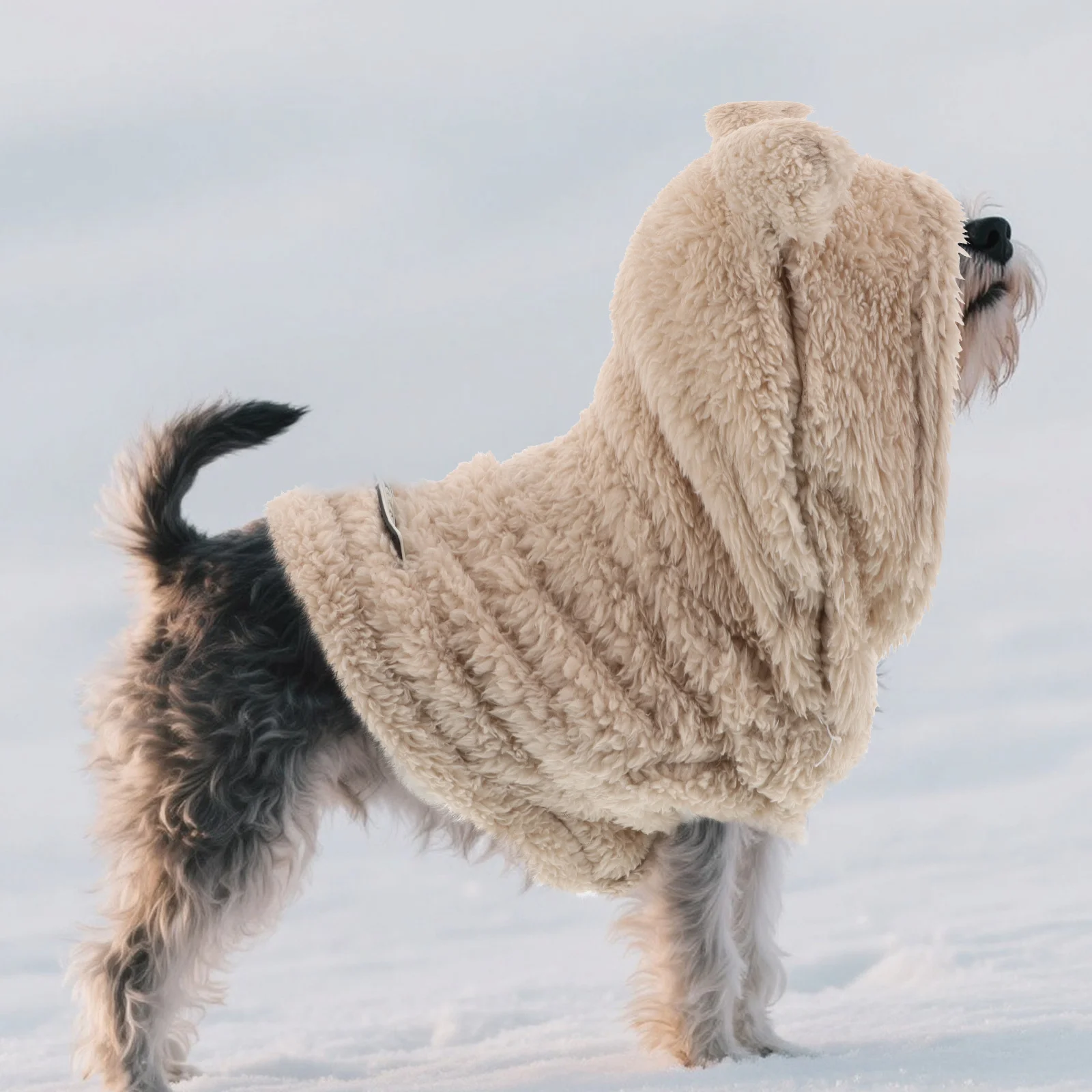 

Dog Hoodie Bunny Ears Puppy Clothes Size M Warm Pet Cloak Pajamas for Small Dogs Cats Rabbits Winter Coat Soft Polyester Pet