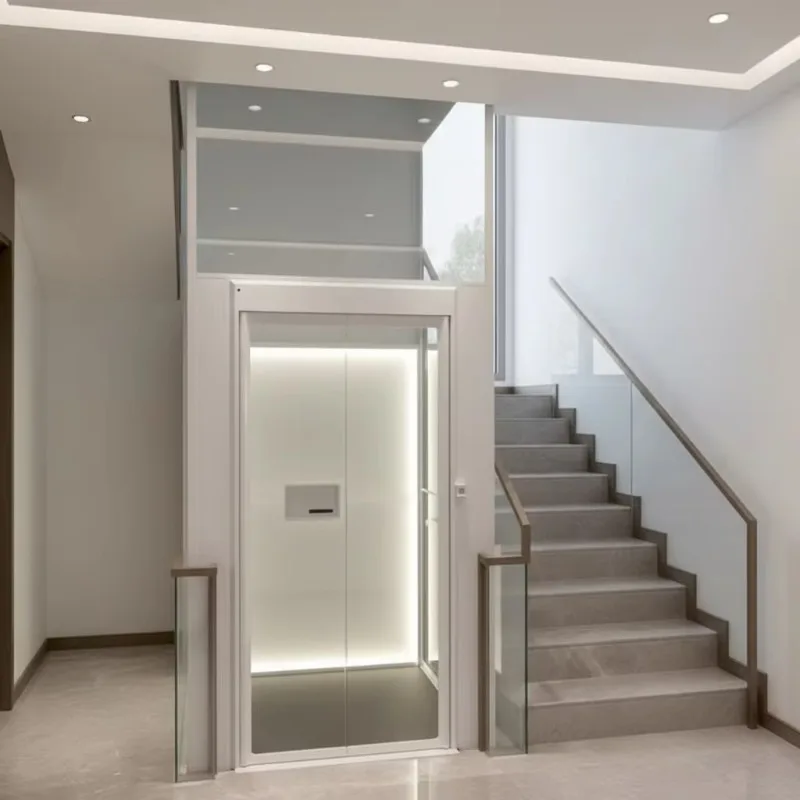 Household elevator, three-person family elevator, 450 kg load-bearing capacity