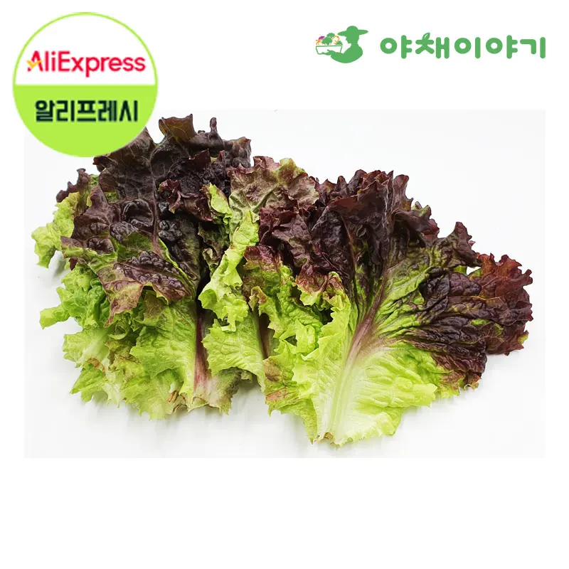 قصة الخضار محلية فريش فلاور تشوي تشوي (بصل أخضر) شوى أحمر 100 جرام خضار مقلية درجة أولى #1