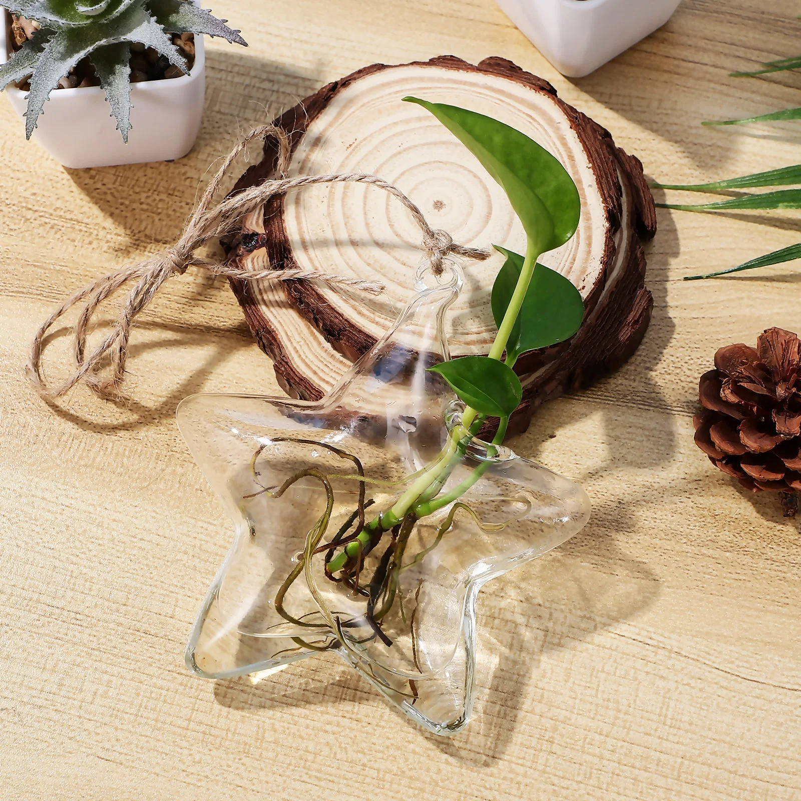 

Small Transparent Glass Hydroponic Hanging Vase Modern Plant Flowerpot Indoor Office Bedroom Decor Tiny Flower Vase