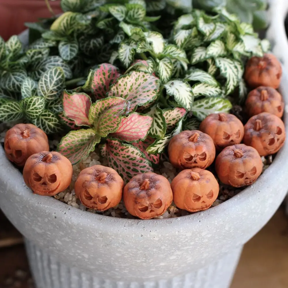 20Pcs Mini Pumpkin Figurines Decorative Resin Fairy Halloween Pumpkin Ornaments DIY Craft Ornaments Micro Landscape Paving Stone