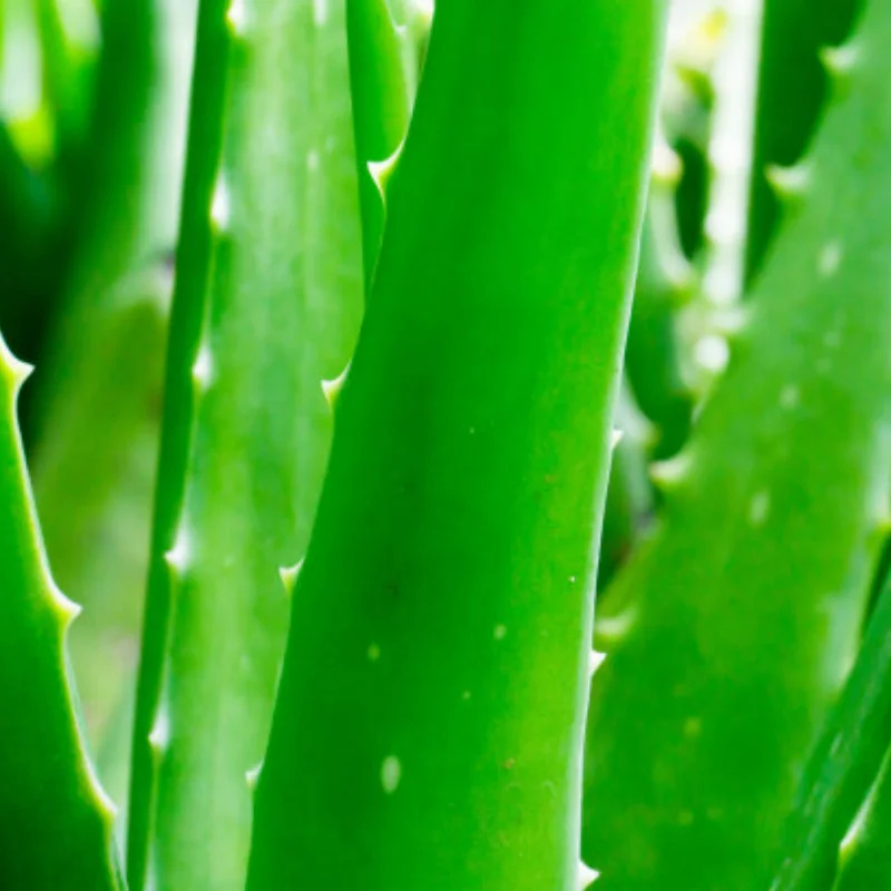 

RC Car Parts Metal Phillips Screwdriver RC Remote Control Car Disassembly Tool M1.5 M2 M2.5 M3 Phillips Screw Tool