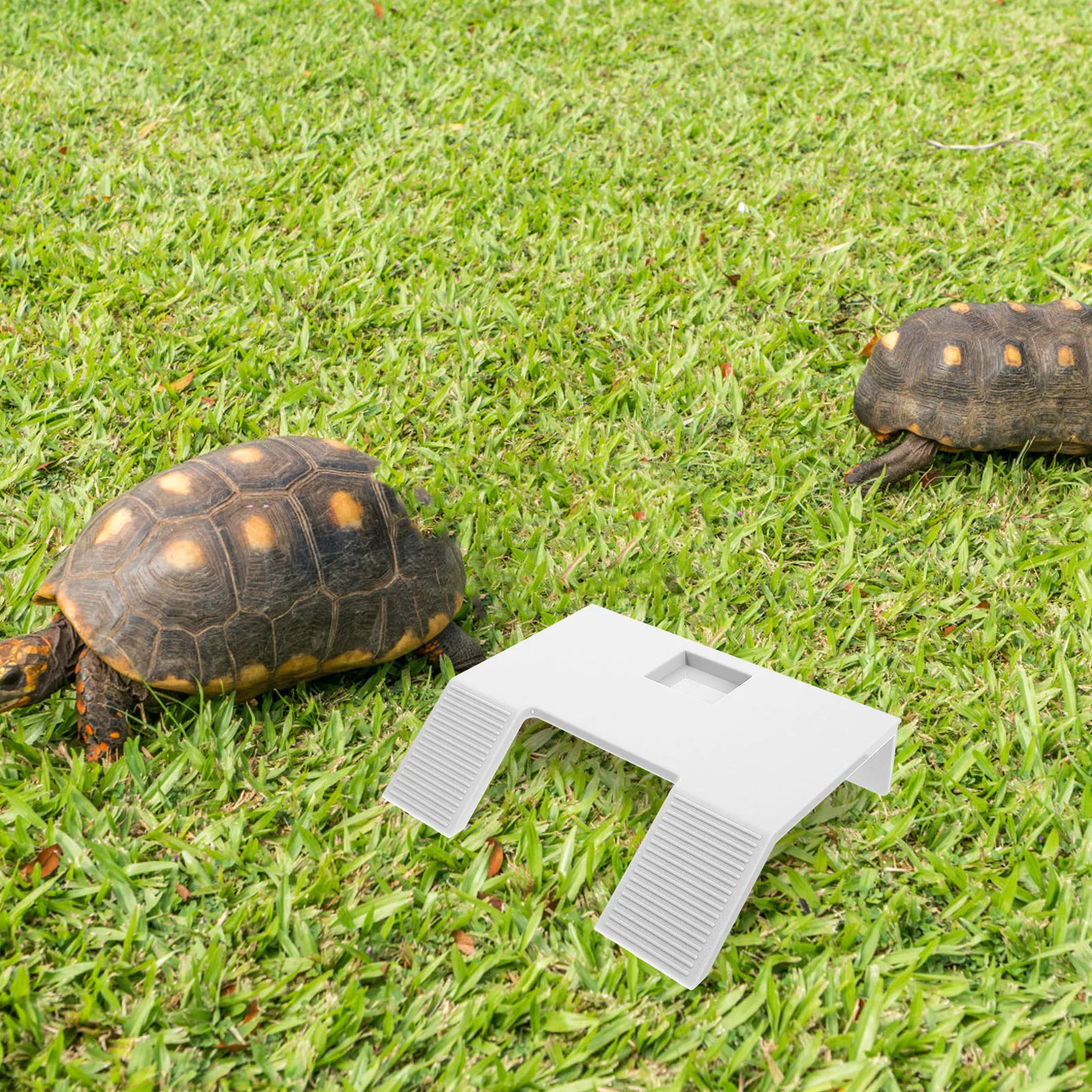 

Turtle Platform for Aquarium Basking Area Ramps Included Wear-Resistant Sunning Stand for Turtles and Other Reptiles