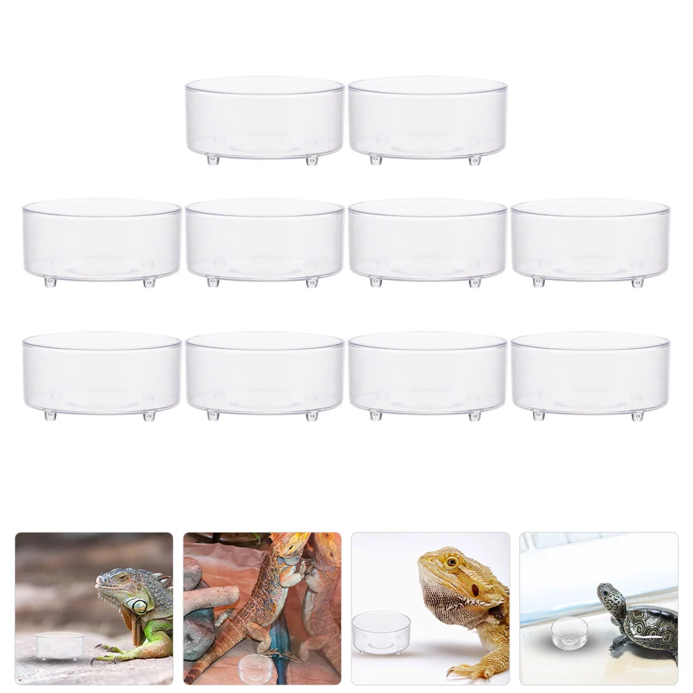 

10pcs Reptile Water Bowl Feeding Dish Tortoise Food Tray Acrylic Terrarium Basin