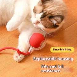 Rechargeable Automatic Rolling Ball Cat Toy – Fake Tail, Imitate Mouse, Electric Interactive for Cats & Dogs