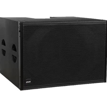 

Pro Audio LA208A Outdoor Stage Профессиональный деревянный динамик Линейный массив Матрица SUB BASS Пассивная с металлическим корпусом