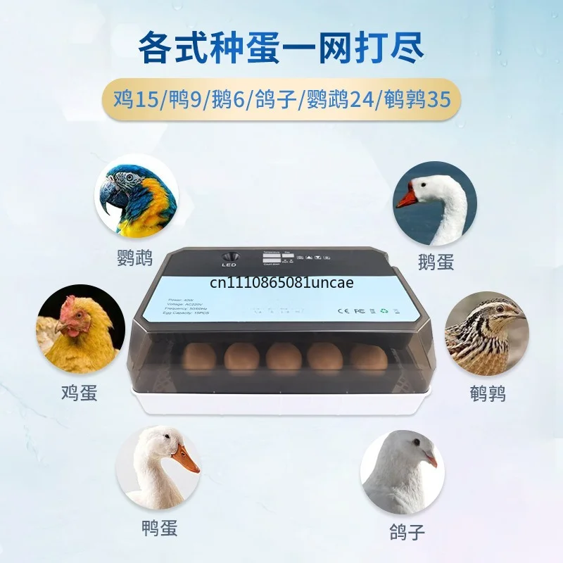 15 Eggs Mini Fully Automatic Egg Incubator Household Lab Teaching Hatcher For Chicken Duck Quail Small Farm Breeding