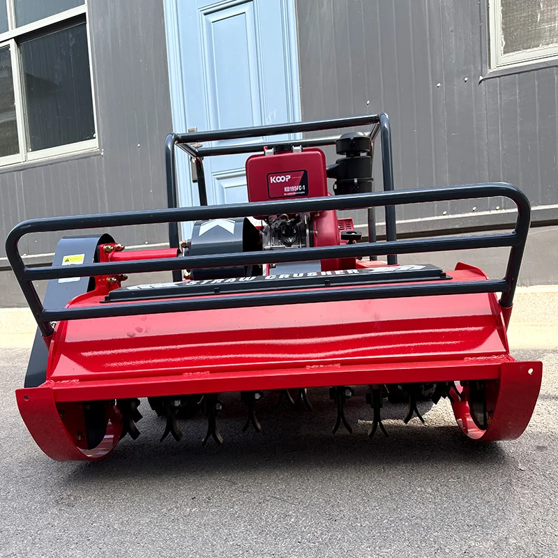 Maßgeschneiderter Raupen-Rasenmäher mit 4-Takt-Motor für den Hausgarten