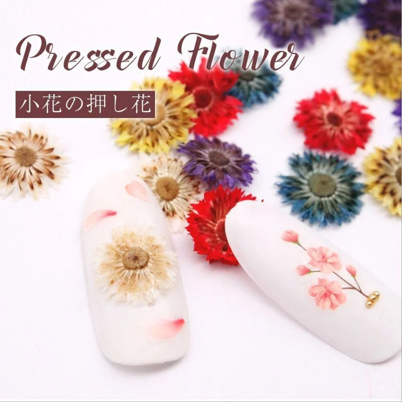 

60Pcs Japanese Popular Nail Art Dried Flowers Mayu Teacher's Small Fragrant Chrysanthemum Pressed Flower Petals Natural Colorful Materials for Candles