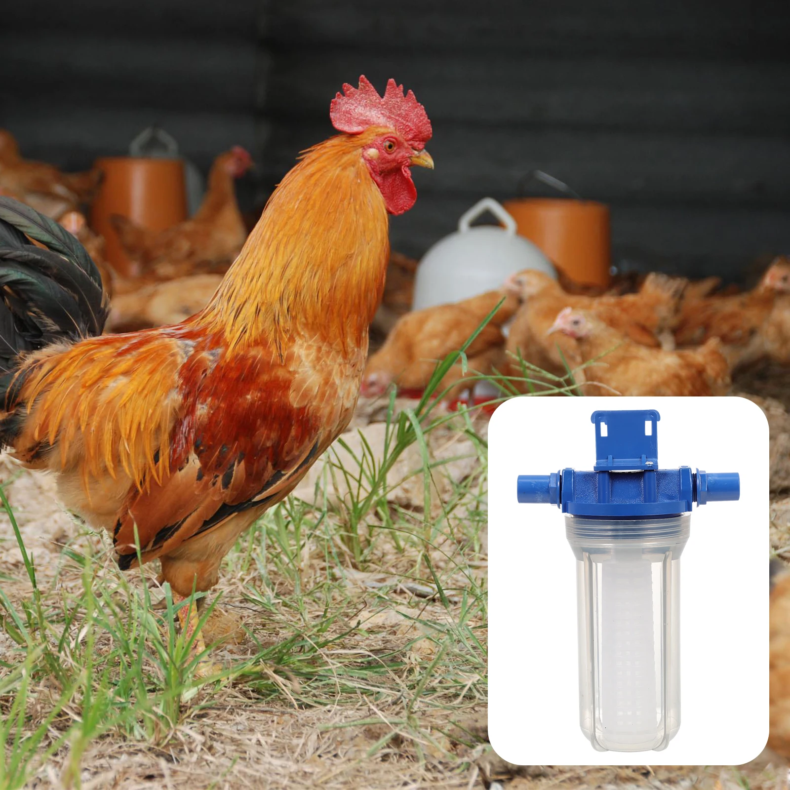 

Plastic Drinking Water Filter for Rabbits Chickens Pigeons Farm Supply Debris Removal Pet Fountain Soften Water Healthier