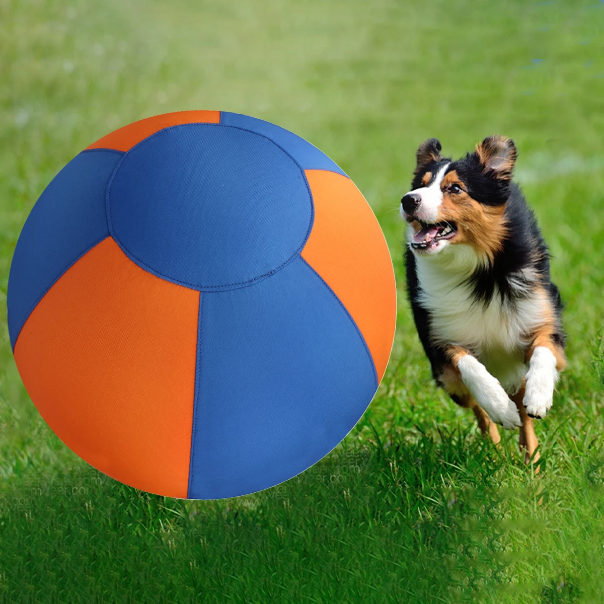 Thumbnail 2 - #83 Latest Rubber Dog Toys Offers