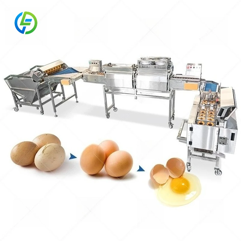 FL Customized Multi‑brush Egg Washing Line High Cleaning Rate Egg Washing Machine Commercial Farm Egg Decontamination Equipment