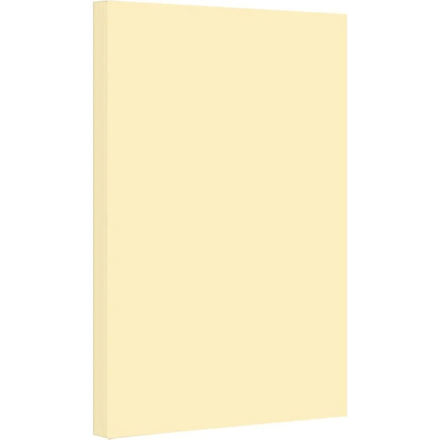 

1 Case of 1000 Sheets 11" x 17" Card Stock Paper 67Lb Vellum Bristol Pastel Color Cardstock Perfect for School and Craft Projec