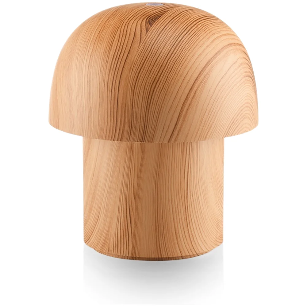 Warm Light Aromatherapy Lamp with Integrated Humidifier and USB Power for Consistent Essential Oil Mist Output