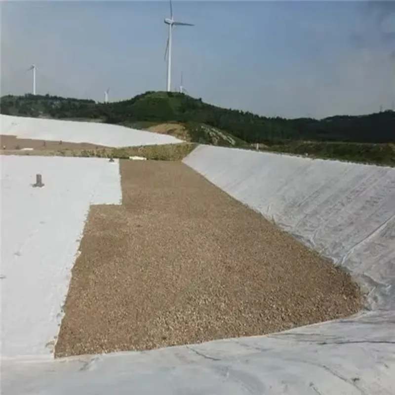 

【Best-selling】PP PET Short Fiber Nonwoven N-eedle Punched Geotextile Non Woven Geotextile for Road Work