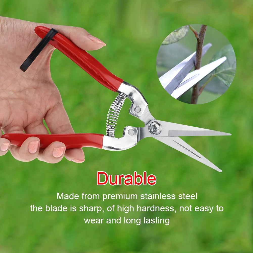 Sturdy Fruit Tree Bonsai Gardening Pruning Shear Garden Scissors Pruner Tool Fruit Scissor Garden Scissor Fruit Tree Scissor